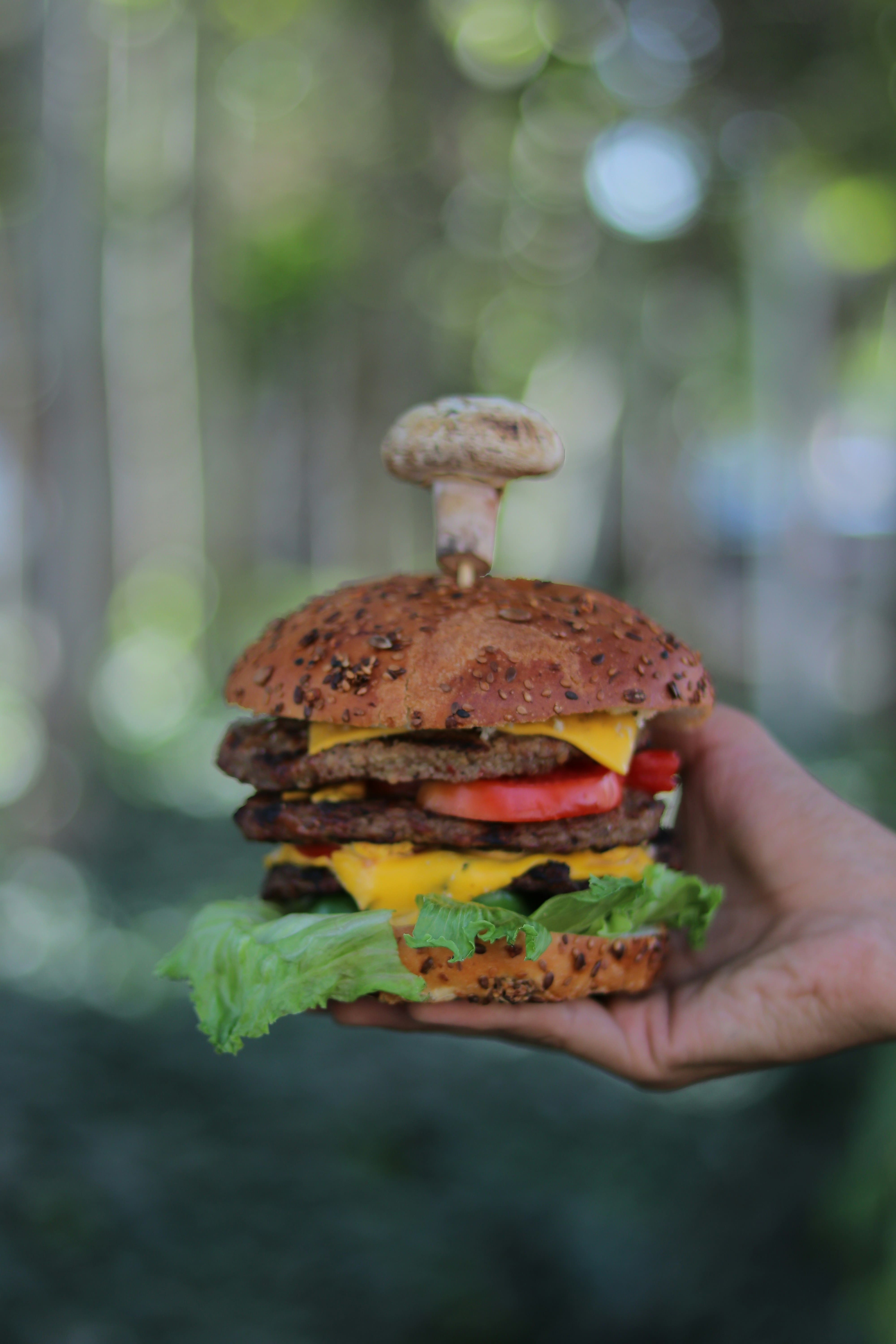 Volcano Burger(veg/panner)